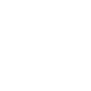 lightbulb icon