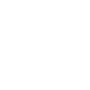 world map icon